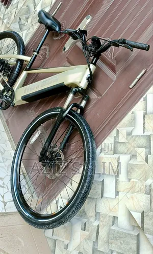 Electric Bike HOVSCO