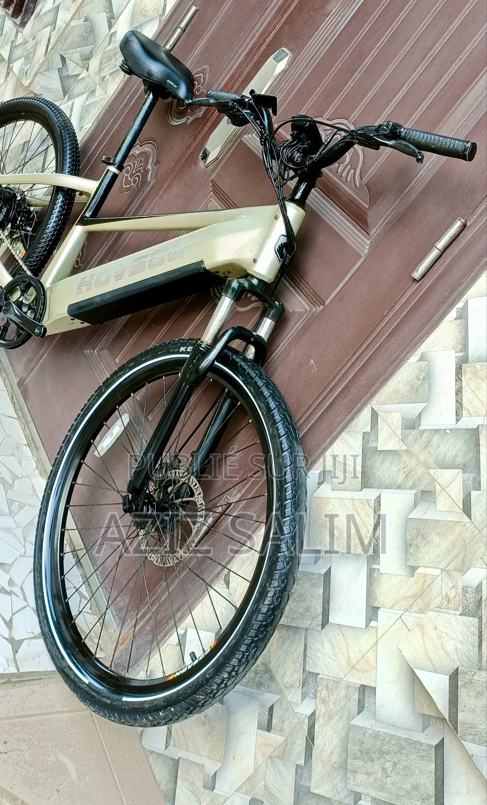 Electric Bike HOVSCO