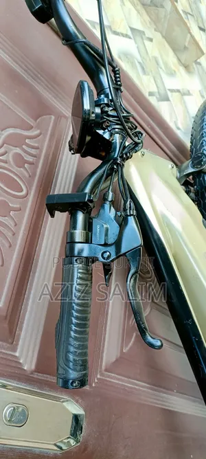 Electric Bike HOVSCO