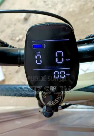 Electric Bike HOVSCO