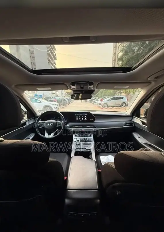 Hyundai Palisade 2020