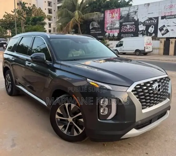 Hyundai Palisade 2020