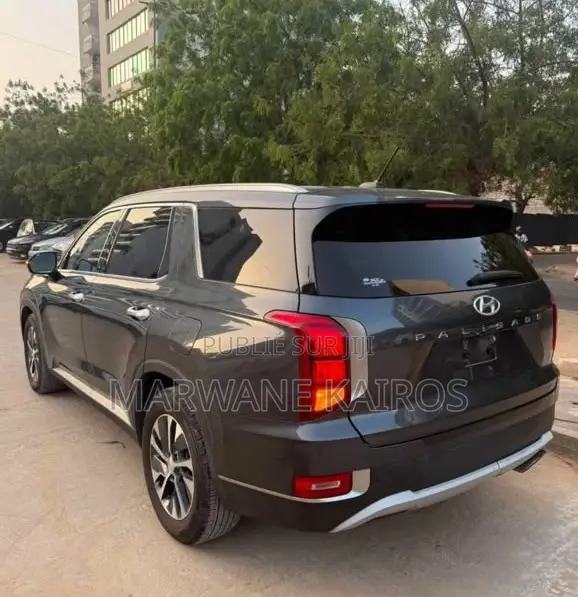 Hyundai Palisade 2020