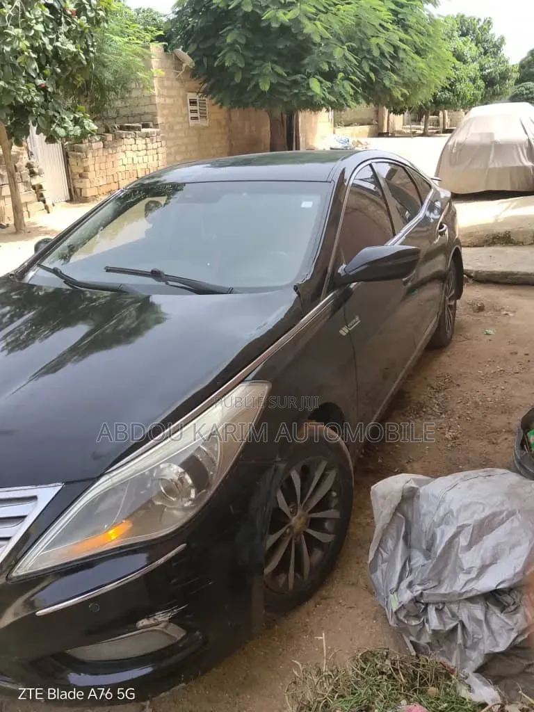 Hyundai Sonata 2015 Noir Mat