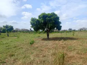 Verger De 1 Hectare Avec Forage Vers Darou Khoudoss