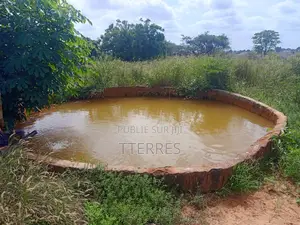 Verger De 1 Hectare Avec Forage Vers Darou Khoudoss