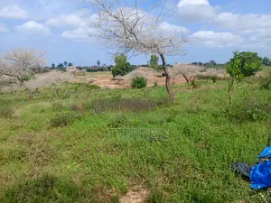 Verger De 1 Hectare Avec Forage Vers Darou Khoudoss