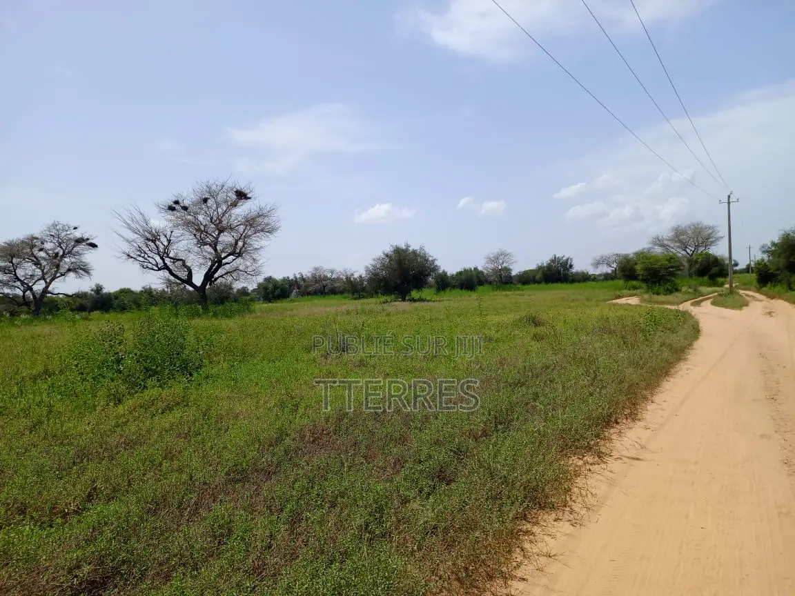 Terre Agricole De 2,78 Hectares Vers Dinguiraye - Bambey