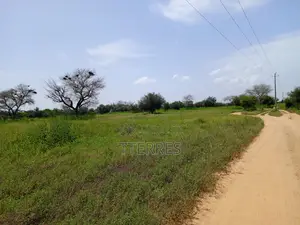 Terre Agricole De 2,78 Hectares Vers Dinguiraye - Bambey
