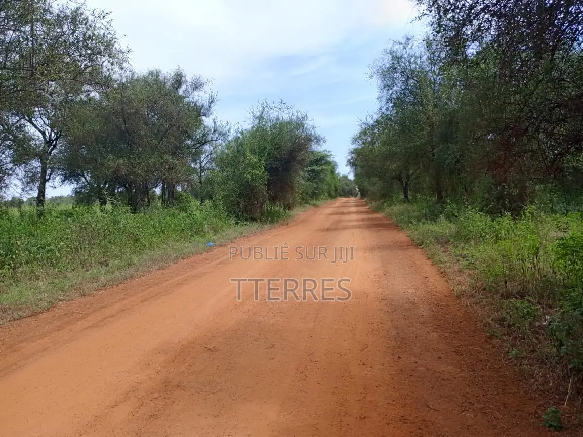 Terre Agricole De 2,78 Hectares Vers Dinguiraye - Bambey