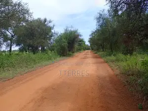 Terre Agricole De 2,78 Hectares Vers Dinguiraye - Bambey