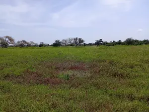Terre Agricole De 2,78 Hectares Vers Dinguiraye - Bambey