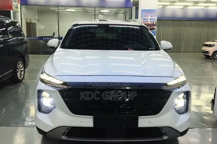 Hyundai Santa Fe 2023 Blanc