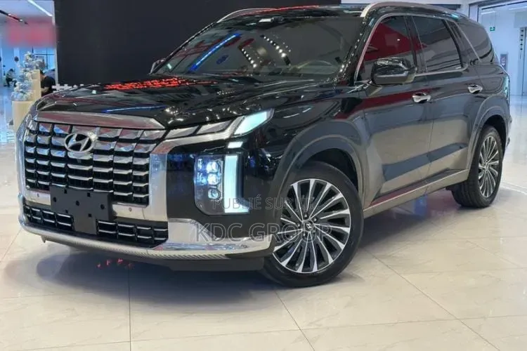 Hyundai Palisade 2023 Noir