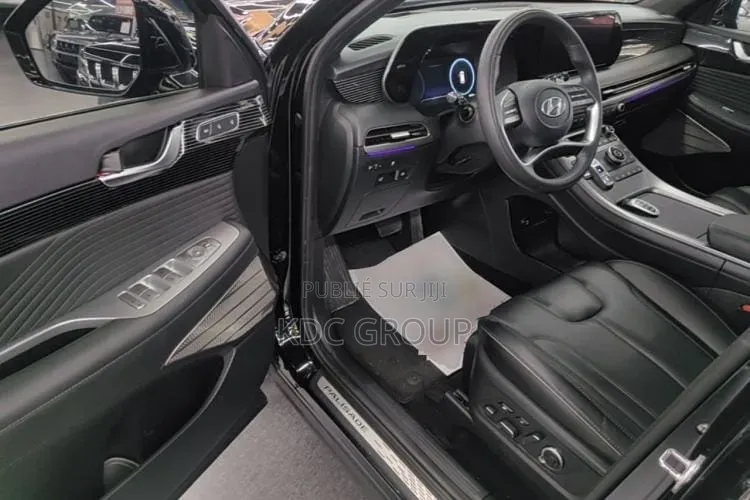 Hyundai Palisade 2023 Noir