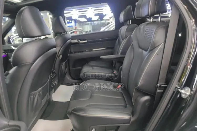 Hyundai Palisade 2023 Noir