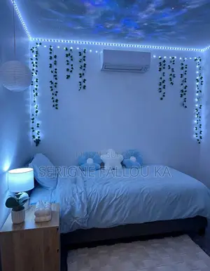 Led Lumineuses
