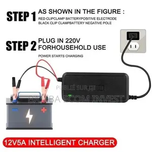 Chargeur De Batterie Intelligent 12V (Généralement 5A)