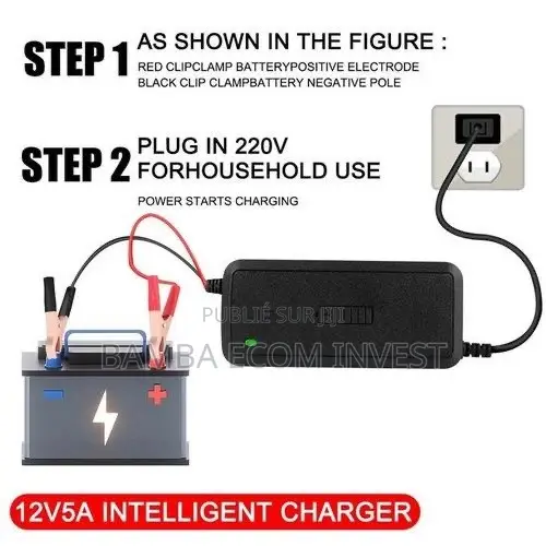 Chargeur De Batterie Intelligent 12V (Généralement 5A)