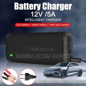 Chargeur De Batterie Intelligent 12V (Généralement 5A)