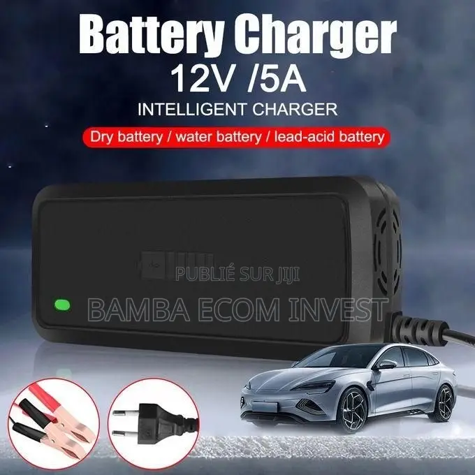 Chargeur De Batterie Intelligent 12V (Généralement 5A)