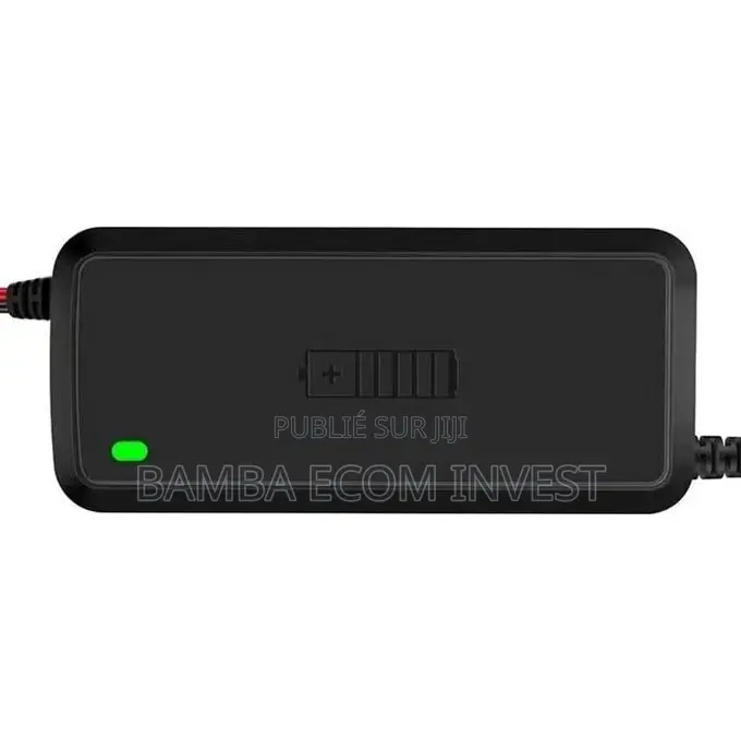 Chargeur De Batterie Intelligent 12V (Généralement 5A)
