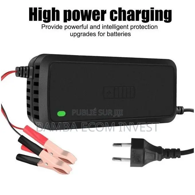 Chargeur De Batterie Intelligent 12V (Généralement 5A)