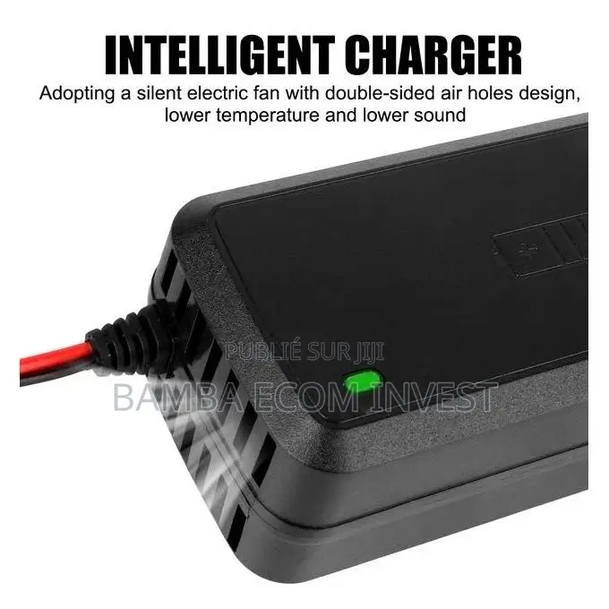 Chargeur De Batterie Intelligent 12V (Généralement 5A)