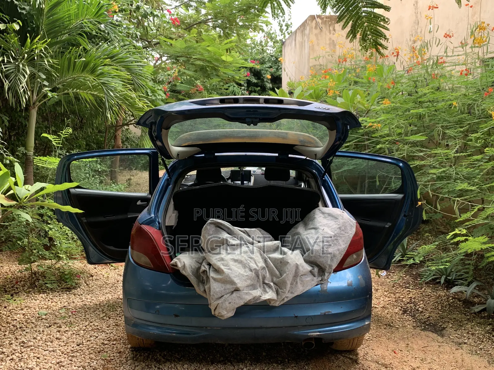 Peugeot 207 2009 Bleu