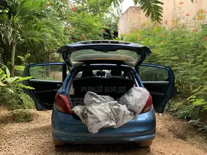 Peugeot 207 2009 Bleu