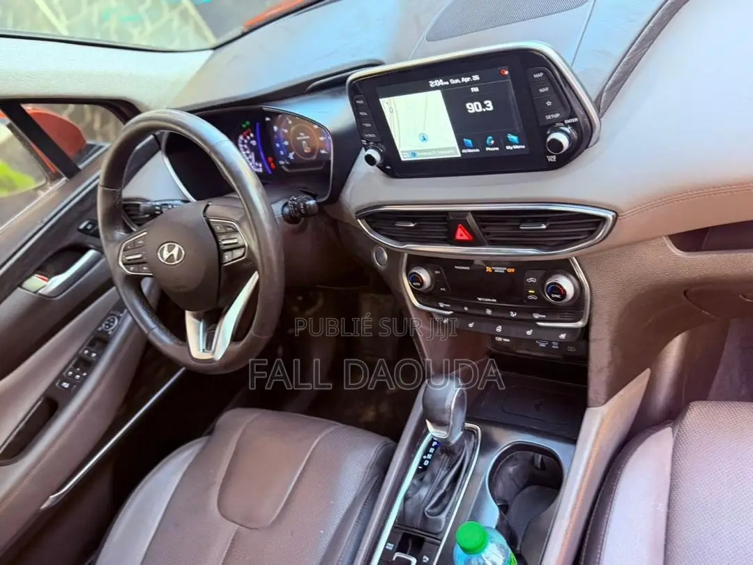 Hyundai Santa Fe 2019 Rouge