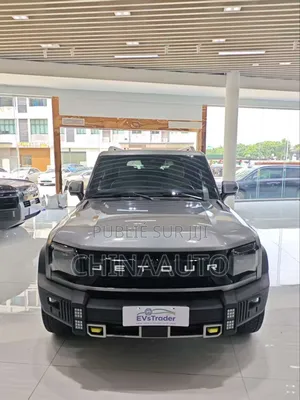 Jetour T2 2.0 Petrol AWD 2024 Gris