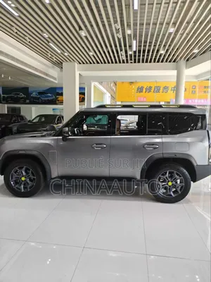 Jetour T2 2.0 Petrol AWD 2024 Gris