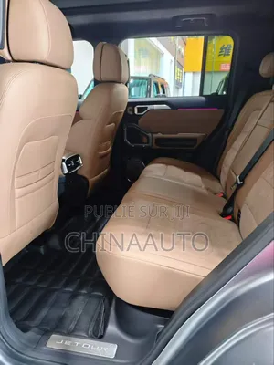 Jetour T2 2.0 Petrol AWD 2024 Gris