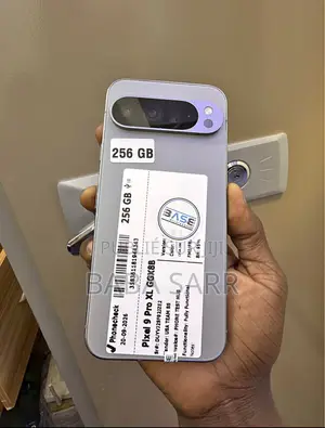 Nouveau Google Pixel 9 Pro XL 256 GB Gris