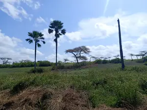 Terrain De 8256 M2 Vers Touba Ndiaye - Mboro - Thiès
