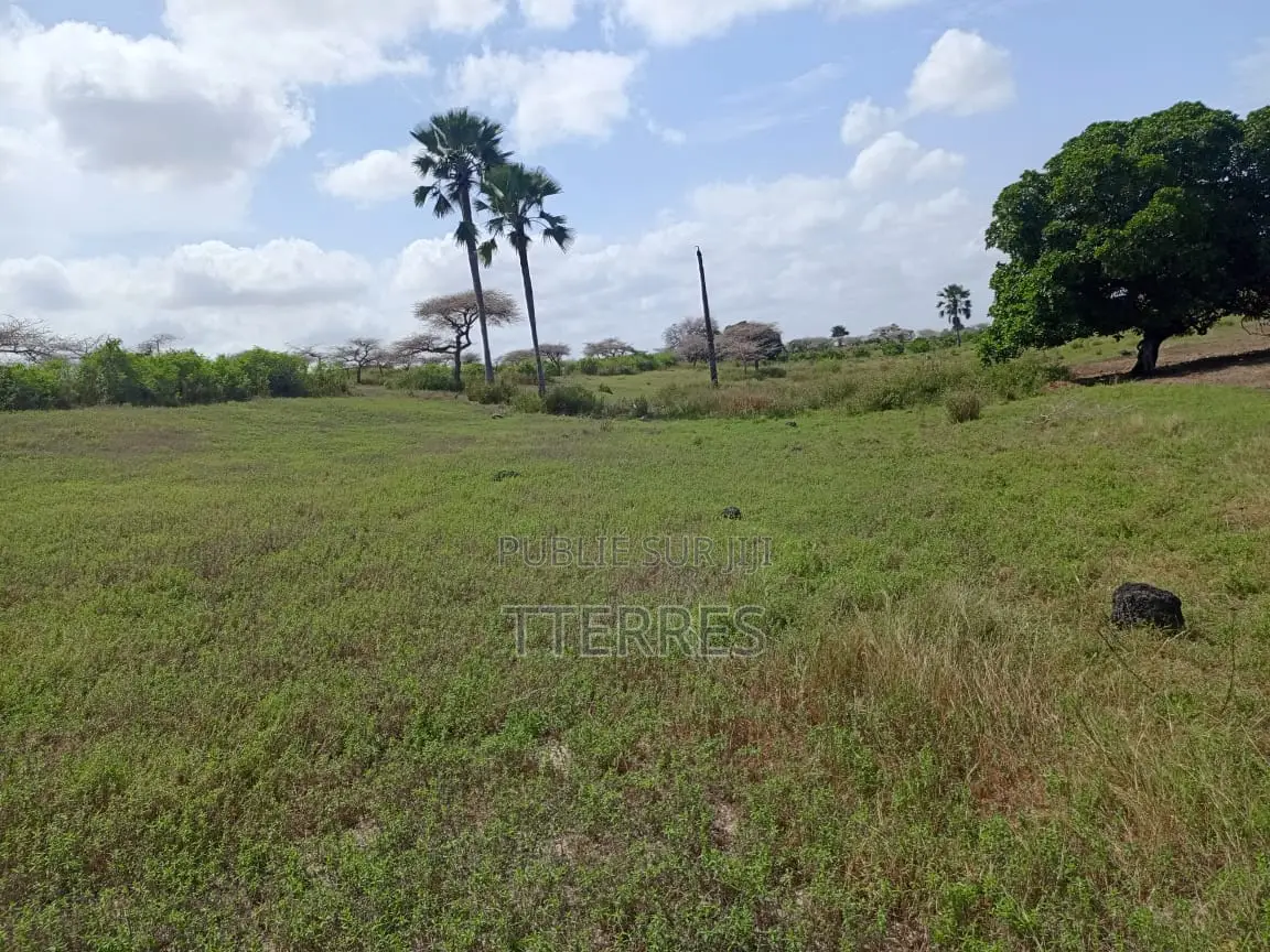 Terrain De 8256 M2 Vers Touba Ndiaye - Mboro - Thiès