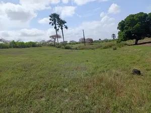 Terrain De 8256 M2 Vers Touba Ndiaye - Mboro - Thiès