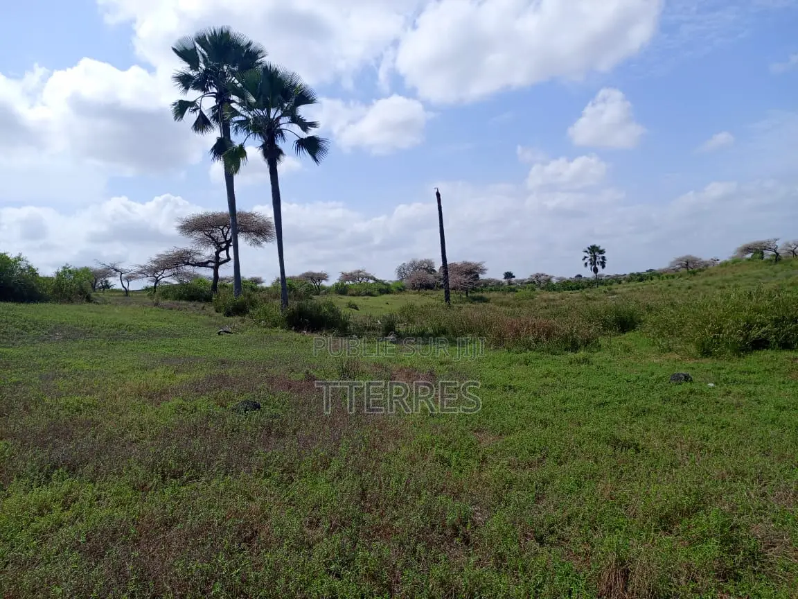 Terrain De 8256 M2 Vers Touba Ndiaye - Mboro - Thiès
