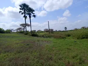 Terrain De 8256 M2 Vers Touba Ndiaye - Mboro - Thiès