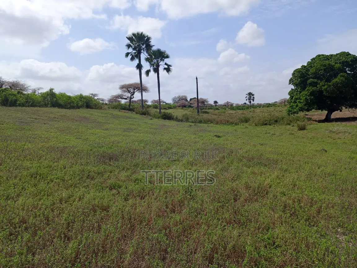 Terrain De 8256 M2 Vers Touba Ndiaye - Mboro - Thiès