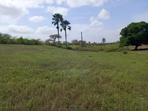 Terrain De 8256 M2 Vers Touba Ndiaye - Mboro - Thiès