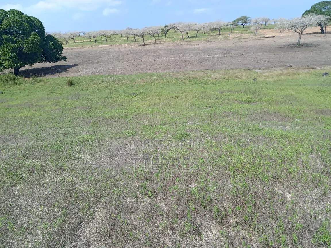 Terrain De 8256 M2 Vers Touba Ndiaye - Mboro - Thiès
