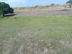 Terrain De 8256 M2 Vers Touba Ndiaye - Mboro - Thiès