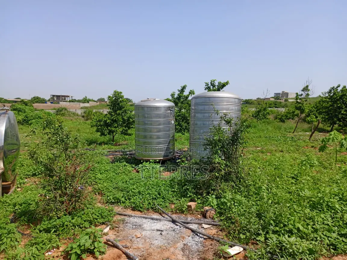 Bail De 1 Hectare À 200 M De La Route, Axe Diamniadio–Yenne