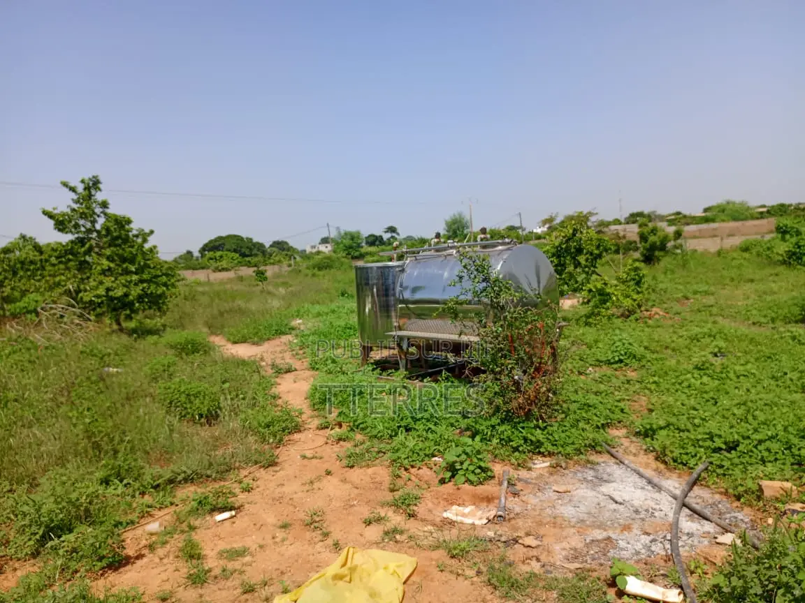 Bail De 1 Hectare À 200 M De La Route, Axe Diamniadio–Yenne