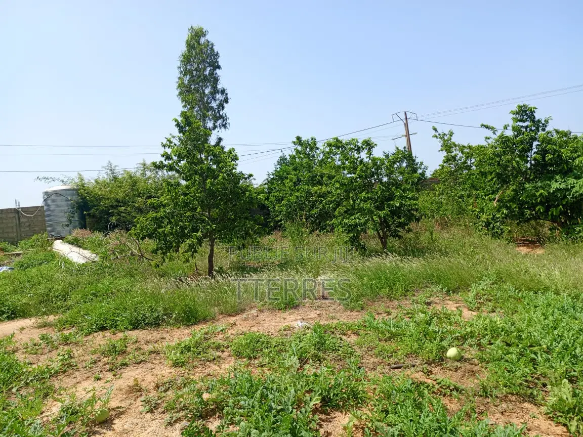 Bail De 1 Hectare À 200 M De La Route, Axe Diamniadio–Yenne