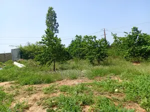 Bail De 1 Hectare À 200 M De La Route, Axe Diamniadio–Yenne
