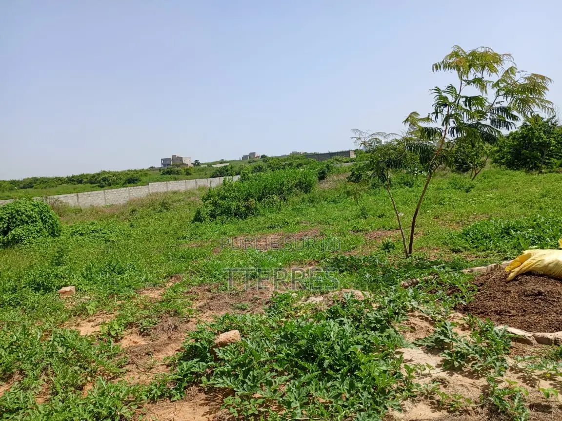 Bail De 1 Hectare À 200 M De La Route, Axe Diamniadio–Yenne