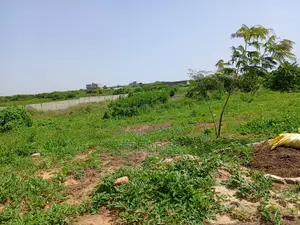 Bail De 1 Hectare À 200 M De La Route, Axe Diamniadio–Yenne